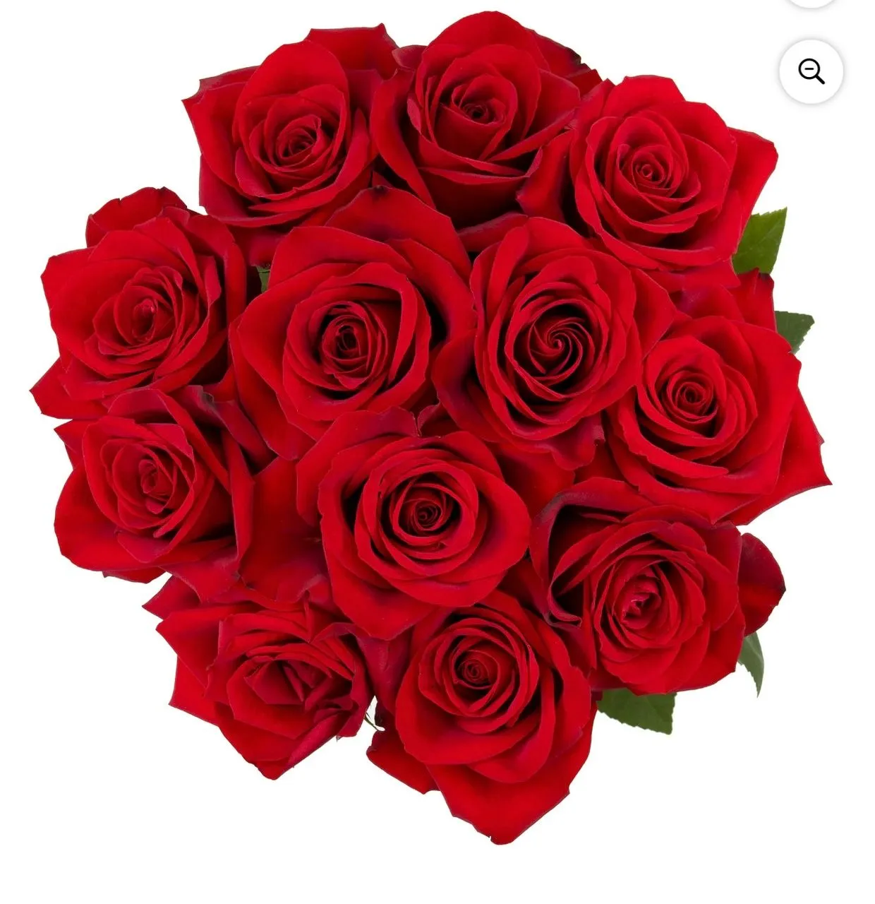 SAME DAY DELIVERY TO USA ONLY